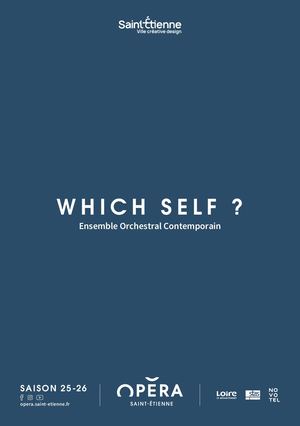 WHICH SELF ?