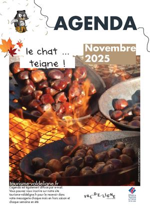 Chat Teigne novembre 2025