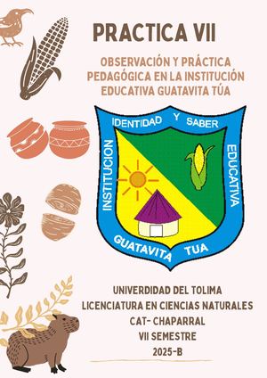 Cartilla Practica Pedagogica grados 8 y 9