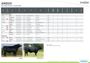 Angus - Nov. 2025 - Innoval