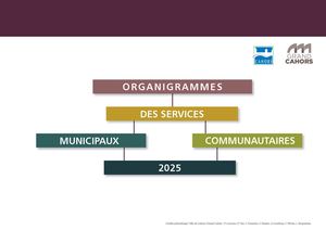 L'organigramme des services