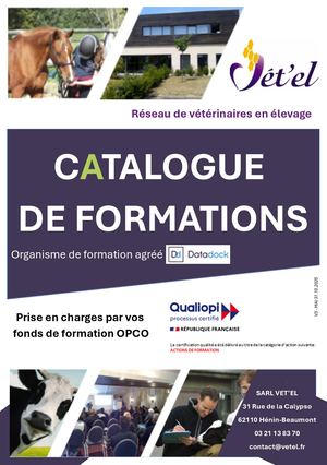 Catalogue De Formations