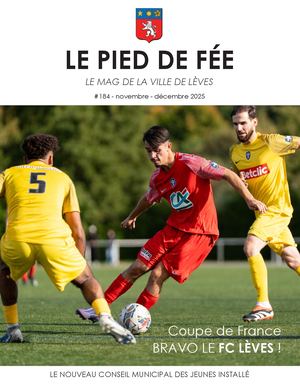 PIED DE FEE NOVEMBRE - DECEMBRE 2025 #184