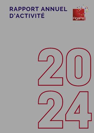 Rapport d'Activités 2024