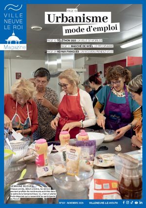 Villeneuve Magazine N°207-novembre 2025