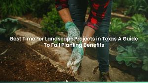 Best Time For Landscape Projects in Texas: A Guide To Fall Planting Benefits
