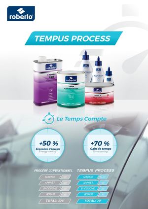 602887 Flyer Tempus Process Roberlo En Fr