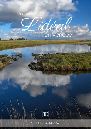 Ideal Vendee