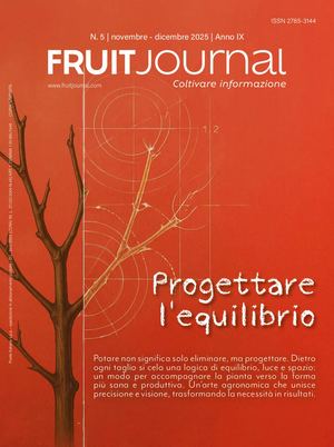 FRUIT JOURNAL | N.5 2025