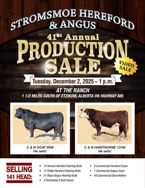 Stromsmoe Hereford & Angus Production Sale