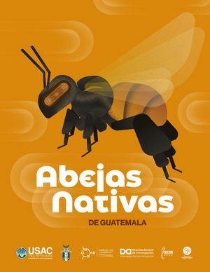 Abejas Nativas de Guatemala