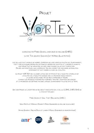 Anr Vortex Mise En Page Page Final Vf