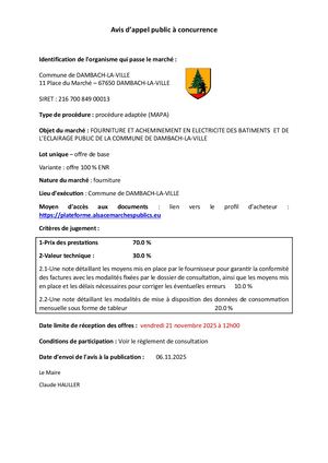 Avis d'appel public à la concurrence - Fourniture et acheminement en électricité