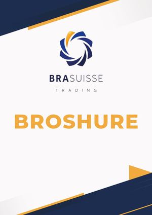 Broshure Mdm De Pollo