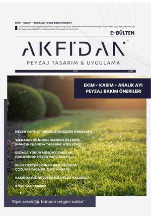 Akfidan E Bülten 2025 3