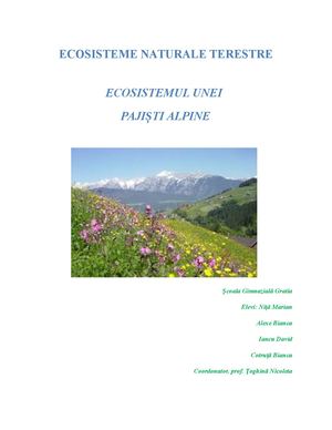 Ecosistemul Unei Pajisti Alpine