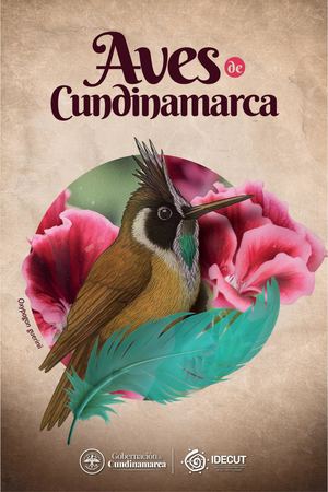 Aves De Cundinamarca Definitivo Para Digital