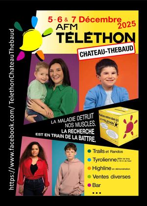 2025 Telethon Chth Calameo