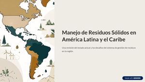 Calaméo - Manejo De Residuos Solidos En America Latina Y El Caribe