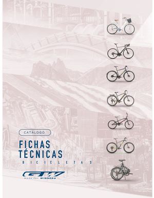 Fichas técnicas Bicis GW