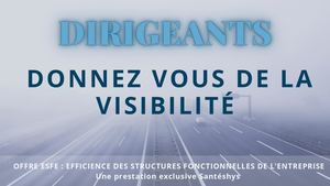 Offre Efficience Entreprise Santéshys