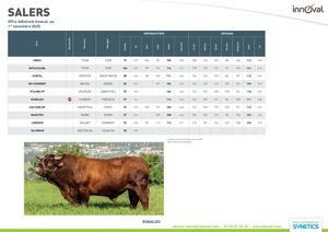 Salers - Nov. 2025 - Innoval