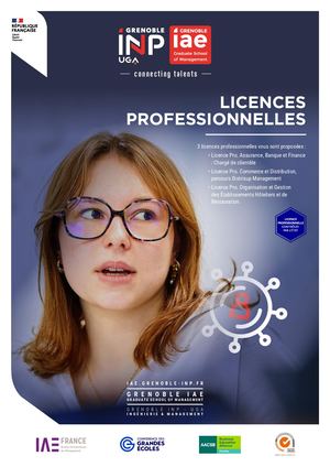 Licences professionnelles