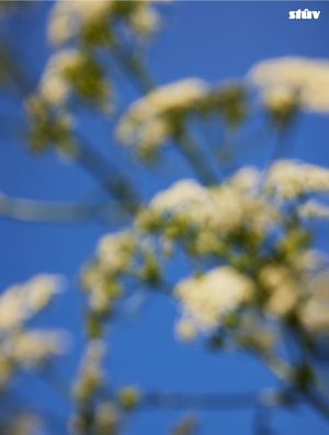 Stuv Coffee Table Book (version française)