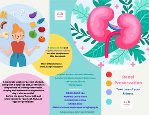Flyer Néphroprotection Anglais 2025