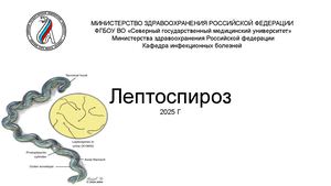 Лептоспироз 2025