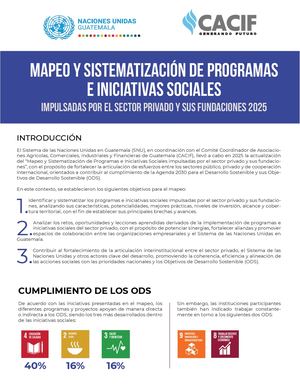 MAPEO Y SISTEMATIZACIÓN DE PROGRAMAS E INICIATIVAS SOCIALES