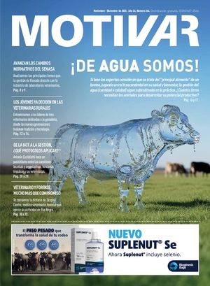PERIODICO MOTIVAR 264 - NOVIEMBRE DICIEMBRE 2025
