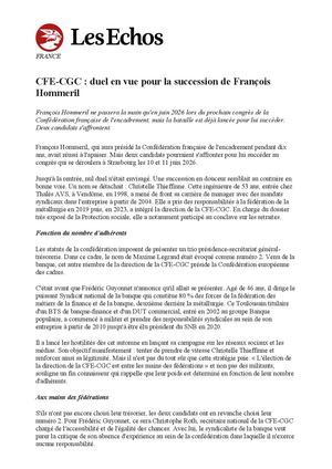 Article Les Echos Christelle Thieffinne