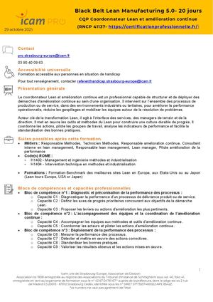 Programme Black Belt Lean Manufacturing 22 Jours - Richard KOMURIAN