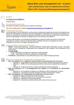 Programme Black Belt Lean Management 14 Jours - Richard KOMURIAN