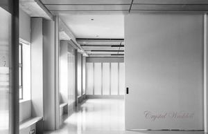 Crystal Waddell Portfolio -2025