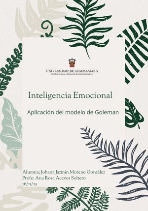Aplicación del modelo de Goleman