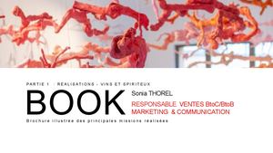 Extraits Book Sthorel Champagne Louis Dousset