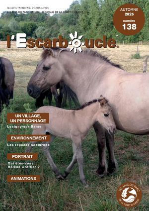 Escarboucle N°138 Automne 2025 Compressé Aapnrfo