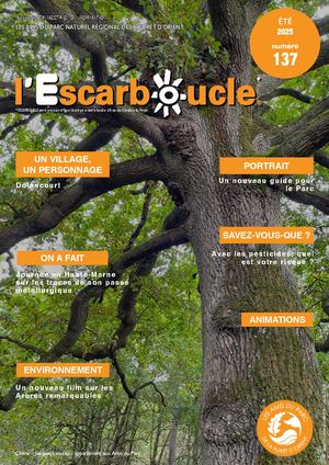 Escarboucle N°137 éTé 2025 Aapnrfo