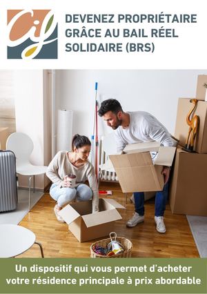 Plaquette BRS plafonds hors NM