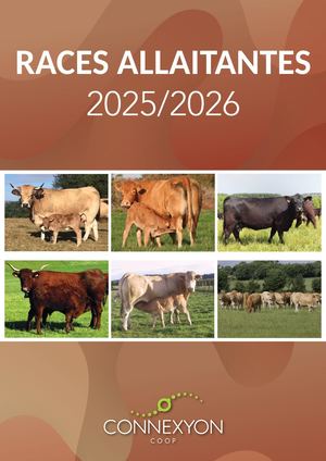 Races Allaitantes Connexyon 2025/2026