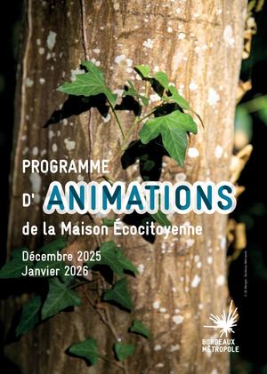 Programme decembre 2025 Janvier 2026