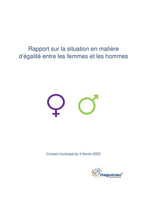 Haguenau Rapport Egalite Femmes Hommes 2024