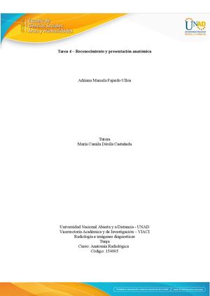 Huesos De La Cara Y Craneo