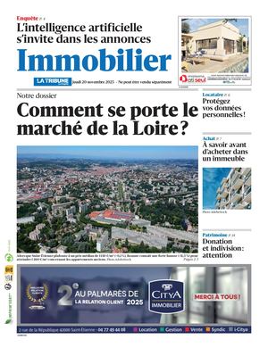 SUPPLEMENT IMMOBILIER LOIRE [20/11/2025]