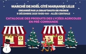 Catalogue du marché de Noël de la Cité Marianne