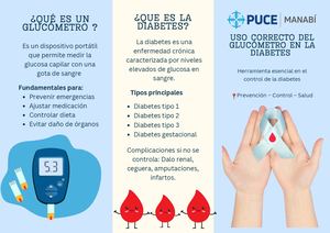 Tríptico Folleto Dia Mundial De La Diabetes Ilustrado Azul Y Celeste 20251114 065423 0000