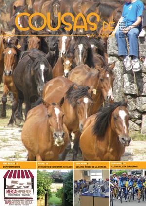 Cousas De Val Miñor Nº16