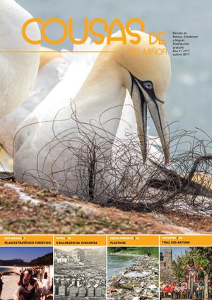 Cousas De Val Miñor Nº17